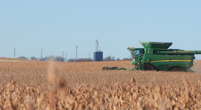 harvest